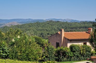 WhatsApp Image 2025-04-17 at 11.35.38 WhatsApp Image 2025-04-17 at 11.35.38