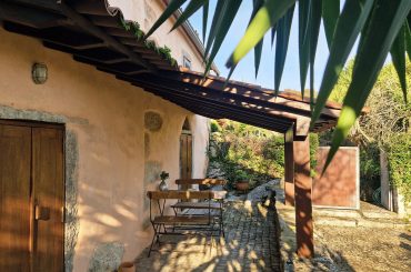 20260119_095540 20260119_095540