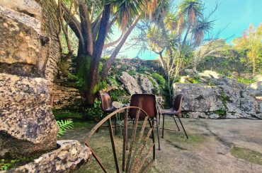 20260119_104546 20260119_104546