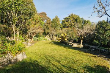 Jardim (2) Jardim (2)