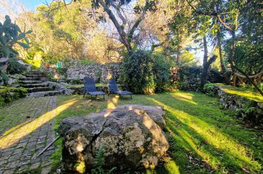 Jardim (3) Jardim (3)