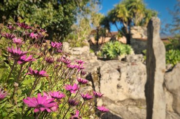 WhatsApp Image 2025-03-24 at 15.21.42 WhatsApp Image 2025-03-24 at 15.21.42